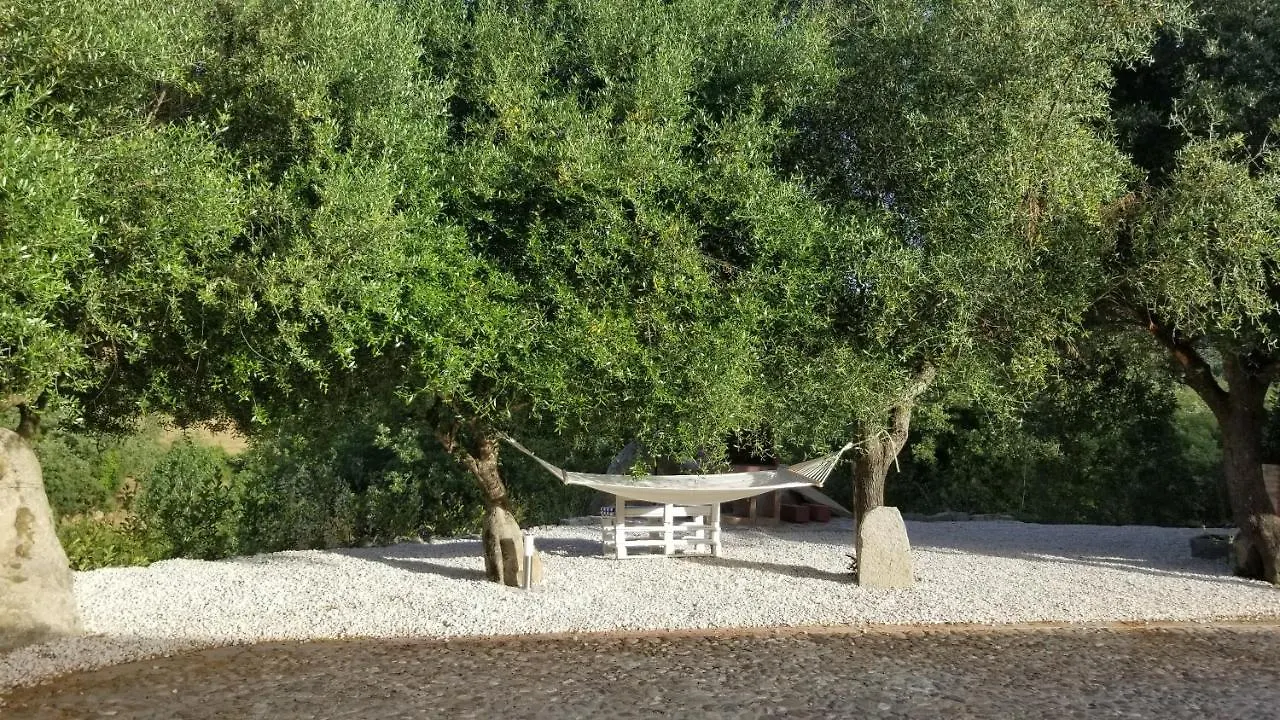 Casa vacanza centro Sardegna Sorgono Casa vacanze