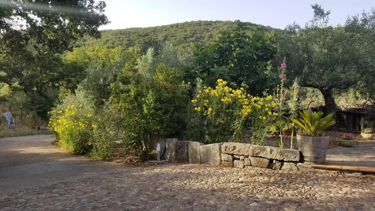 Casa vacanza centro Sardegna Sorgono