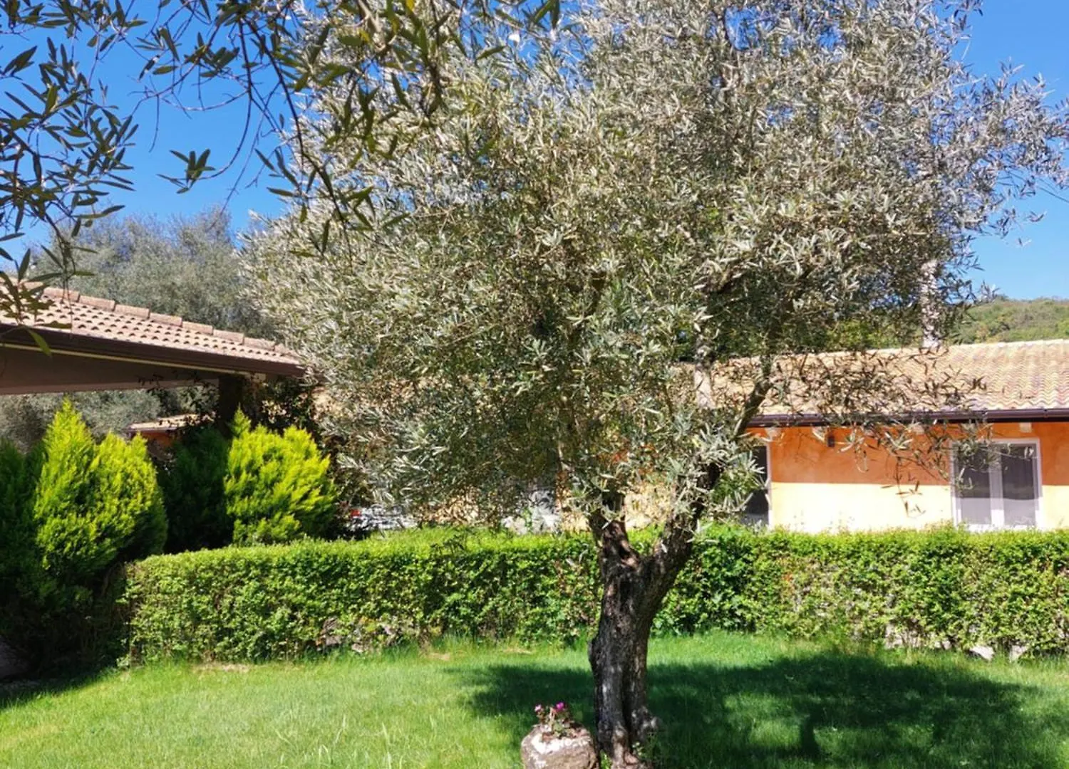 Casa vacanze Casa vacanza centro Sardegna Sorgono