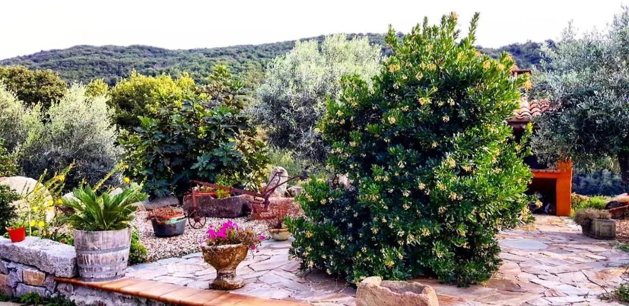 Casa vacanza centro Sardegna Sorgono Casa vacanze