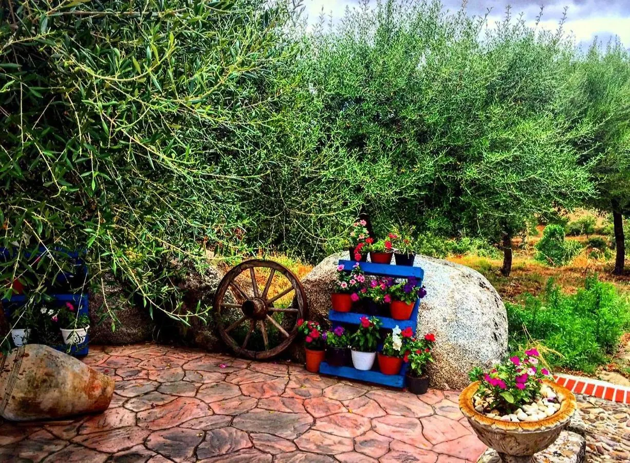 Casa vacanza centro Sardegna Sorgono Italia